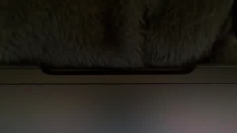 Timplaw online show from 02.11.25