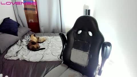 Tina online show from 12.12.24