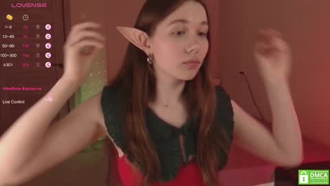 Snapshot of tinkerdinky chatting on 12.25.24 Polly online show from 12.25.24