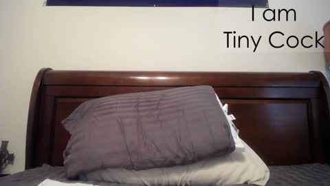 tinycock_1979 online show from 02.20.25