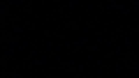 tinydaisy22 online show from 12.05.25