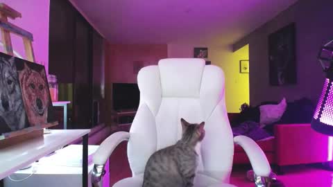 stage Kylie Sinner  brand CLITBAIT online show from 10.14.25