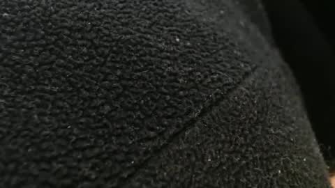 tinyslut66 online show from 11.17.25