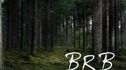 Snapshot of tmosmun chatting on 11.02.25 Tim online show from 11.02.25