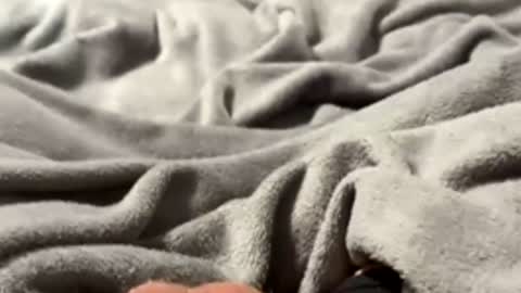 tmue online show from 02.27.26