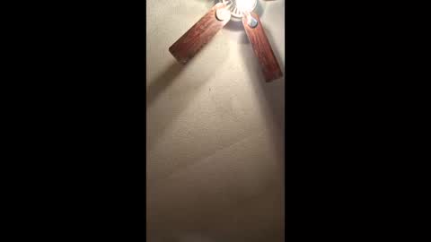 Vols online show from 01.11.26