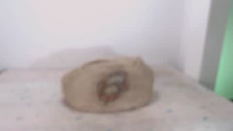 David online show from 02.07.25