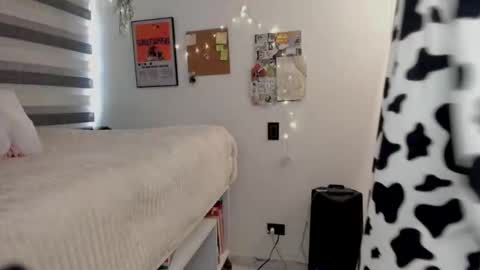 Snapshot of toky222 chatting on 02.20.26 Tokyo online show from 02.20.26