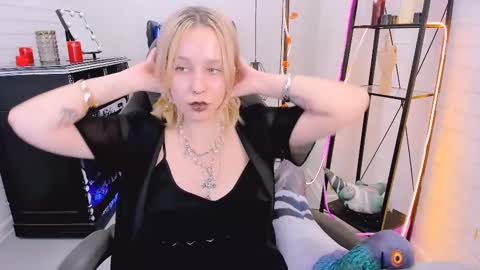 Snapshot of tollimoll chatting on 12.06.24 Tolli Moll online show from 12.06.24