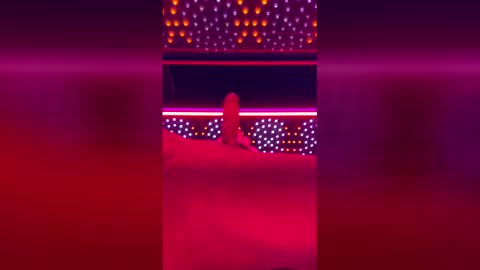 tomandnika online show from 04.11.26