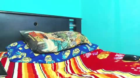 Andres. online show from 02.11.25