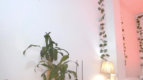 Tommy Foxboy online show from 03.05.25