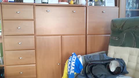 Snapshot of tommyyeu chatting on 01.19.25 Tommy online show from 01.19.25