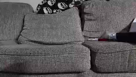 tomnor13 online show from 03.09.26