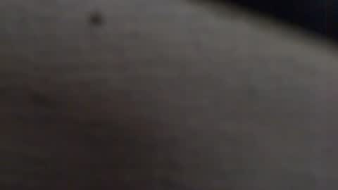 tony2700targa online show from 01.13.25