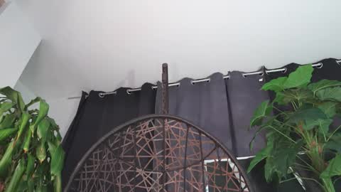 Snapshot of tony_newmen chatting on 02.12.26 tony online show from 02.12.26