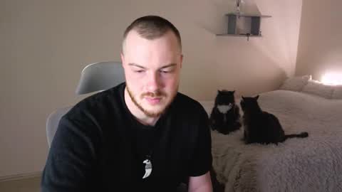 toohornyserj online show from 03.12.26