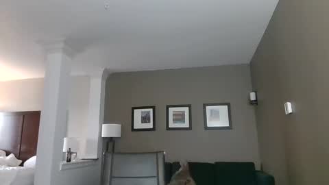 toomuchsmoke online show from 02.06.25