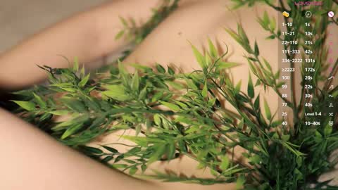 Toshi online show from 01.19.26