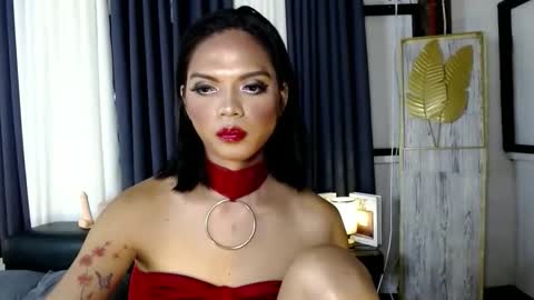 transsitips online show from 12.05.25