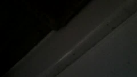 transyfansy online show from 07.23.26