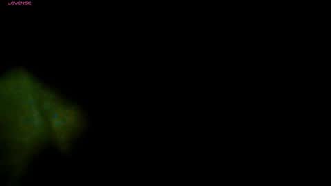 TRAVIS. online show from 11.13.25