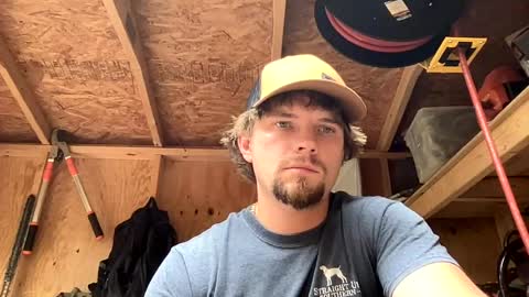 treeman817 online show from 06.11.26