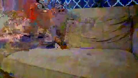 Snapshot of trex23rd chatting on 12.02.25 trex23rd online show from 12.02.25