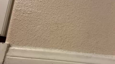 trickydick6 online show from 03.10.26