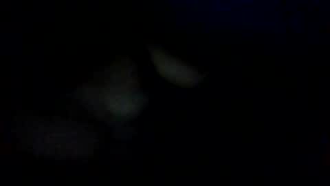 Snapshot of troi1 chatting on 01.16.25 troi1 online show from 01.16.25