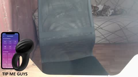 Snapshot of trone41 chatting on 12.18.24 I POST MY FUCKING VIDEOS AND PICS online show from 12.18.24