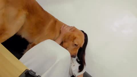 ts_danielahugecock_xxx online show from 12.31.24