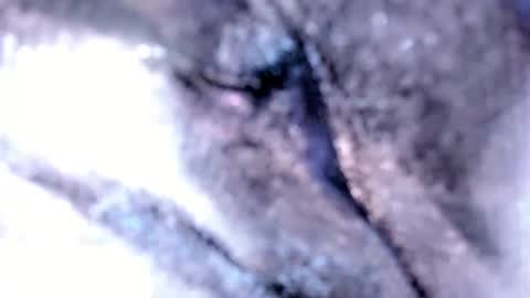   Stella Hanlon    - - online show from 02.12.25