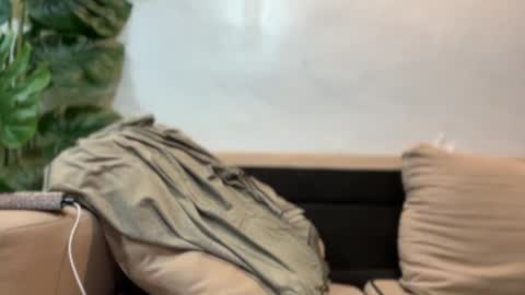 kendall online show from 09.17.25