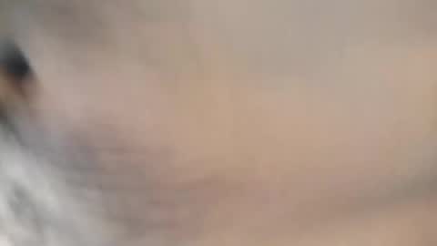 ttimmyt online show from 11.08.25