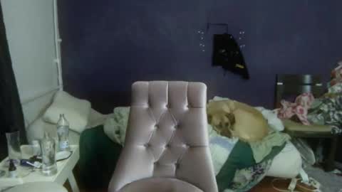 turkishtranswithsurgery online show from 12.20.25