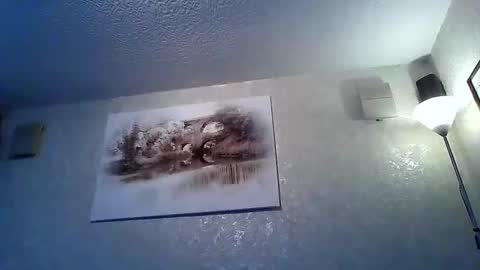 twatcockandballs online show from 02.23.26