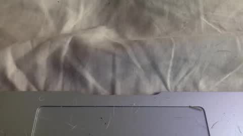 twinkybell online show from 11.07.25