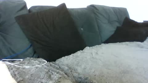 Snapshot of tyler1503857431 chatting on 06.28.26 tyler1503857431 online show from 06.28.26