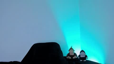 Tyler online show from 02.12.26