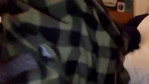 Snapshot of tylerdurden256 chatting on 02.15.25 Tyler Durden online show from 02.15.25