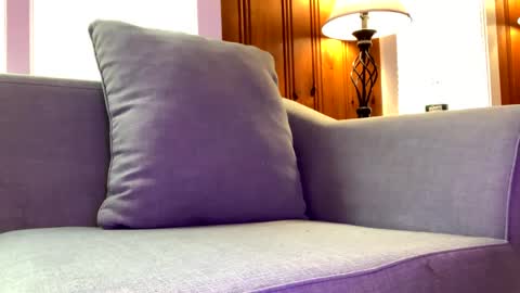 Tyler Sands online show from 02.07.25