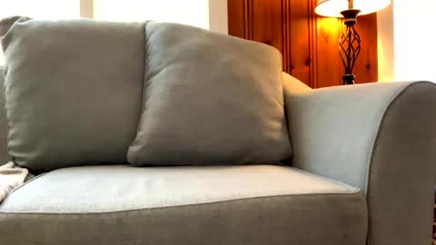 Tyler Sands online show from 03.07.25