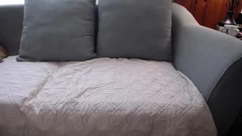 Tyler Sands online show from 10.19.25