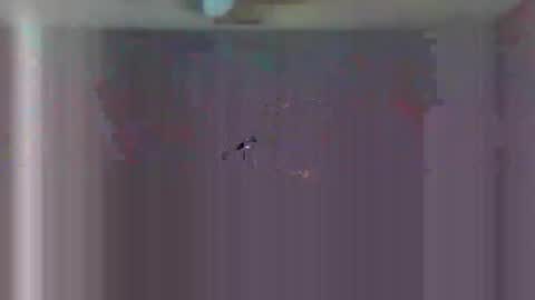 Snapshot of urls2025 chatting on 11.23.25 urls2025 online show from 11.23.25