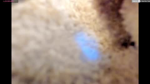 Big Daddy online show from 01.17.25