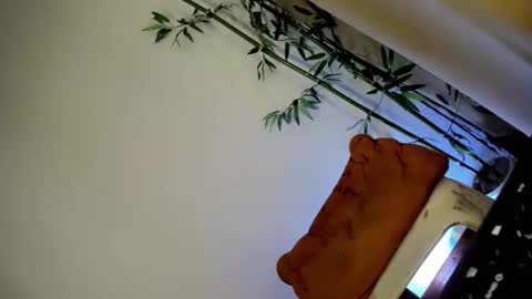 Snapshot of ursashafucker69 chatting on 12.03.24 ursashafucker69 online show from 12.03.24