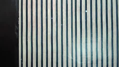 Jane online show from 02.10.25