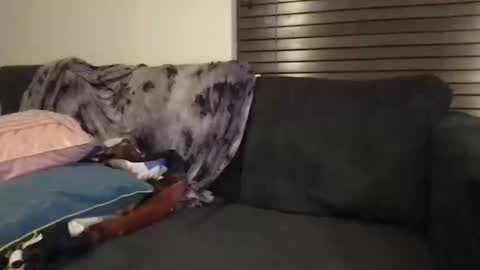 Urwivesaffair online show from 10.12.25