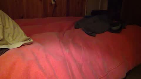 useemie online show from 01.18.25